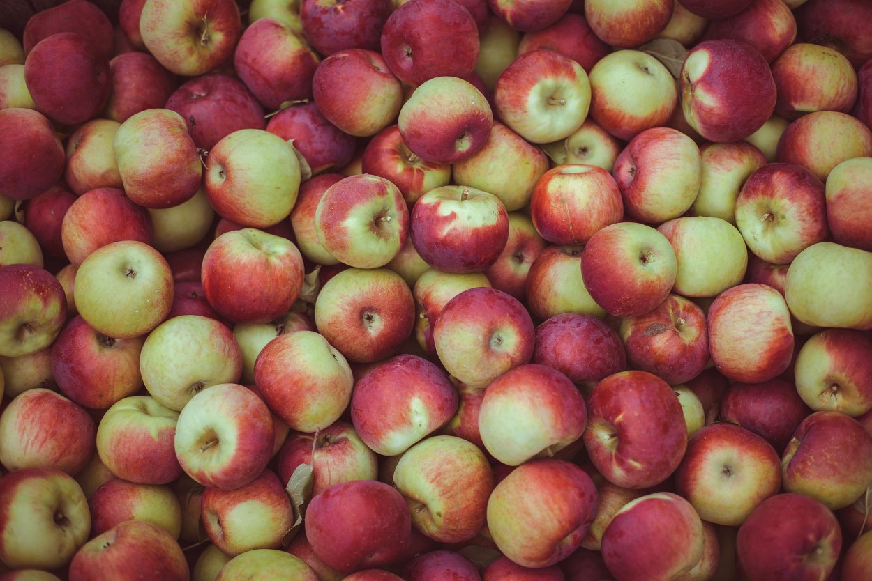 Много красивых яблок