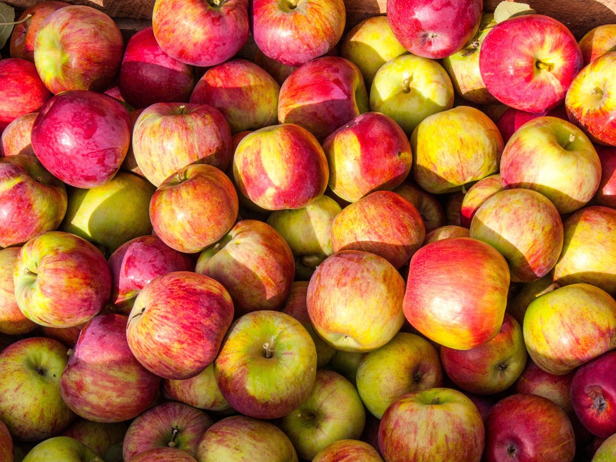 Цветные яблоки