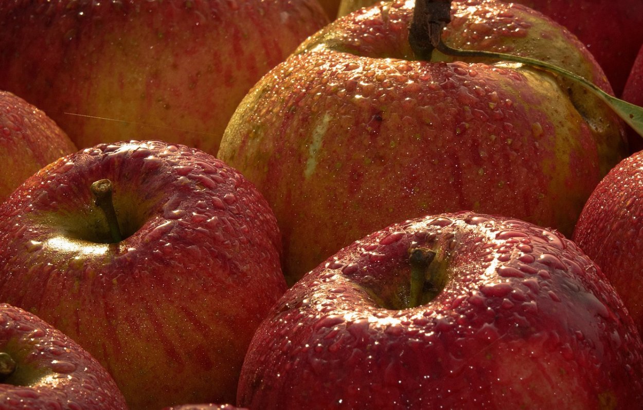 Яблоки зеленые