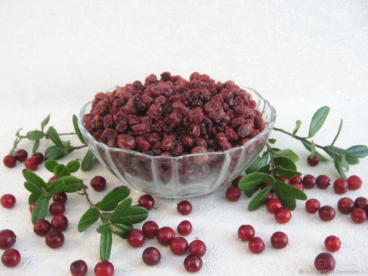 Калина брусника и клюква