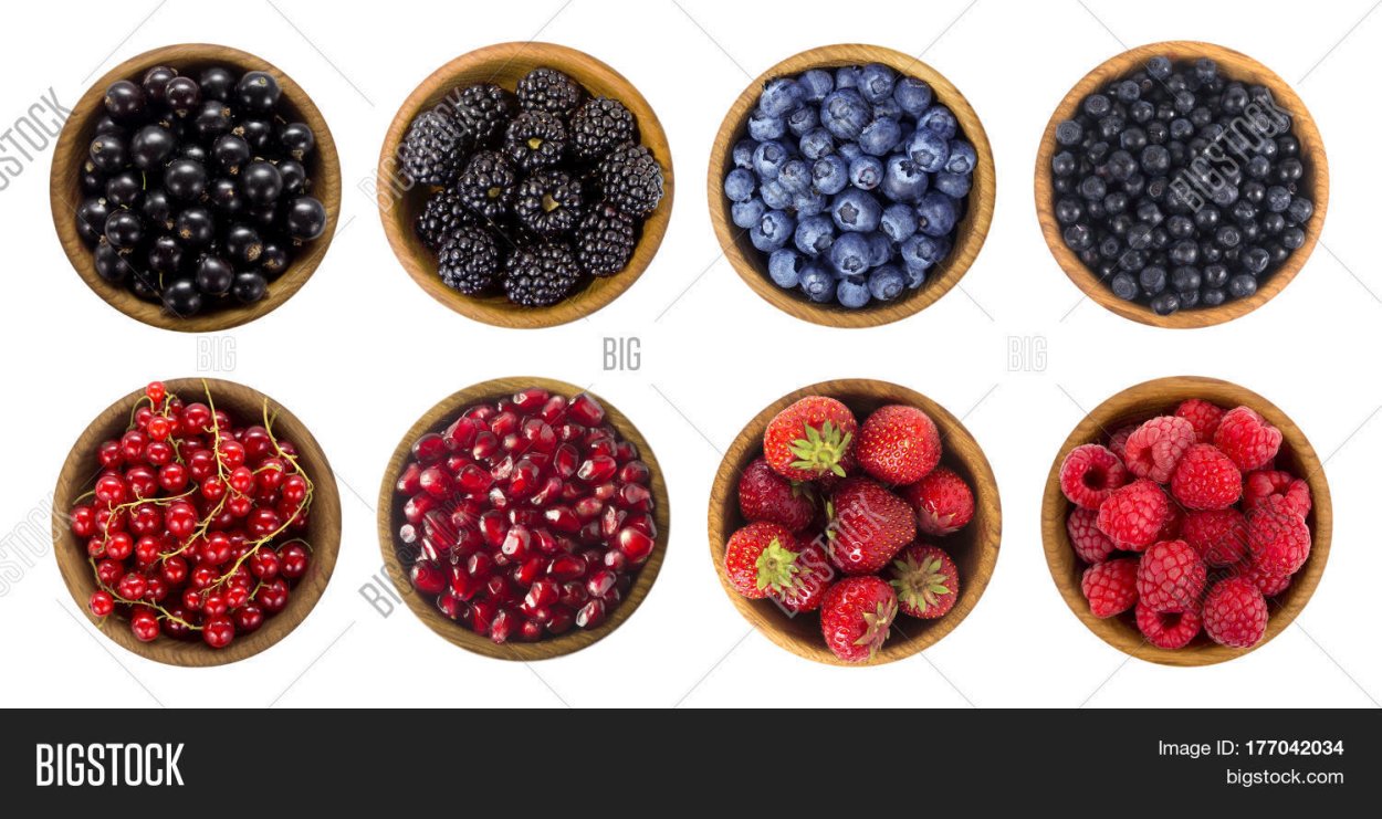 Blueberry, BLACKBERRY, Black Currant