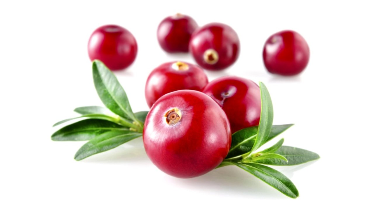 Клюква на белом фоне клюква