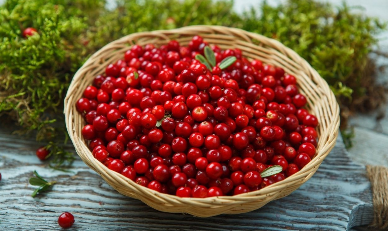 Клюква в лукошке