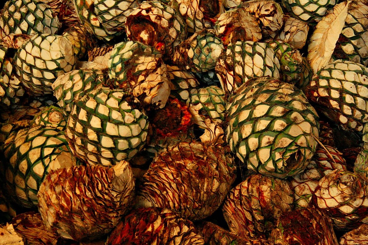 Текила из гуавы