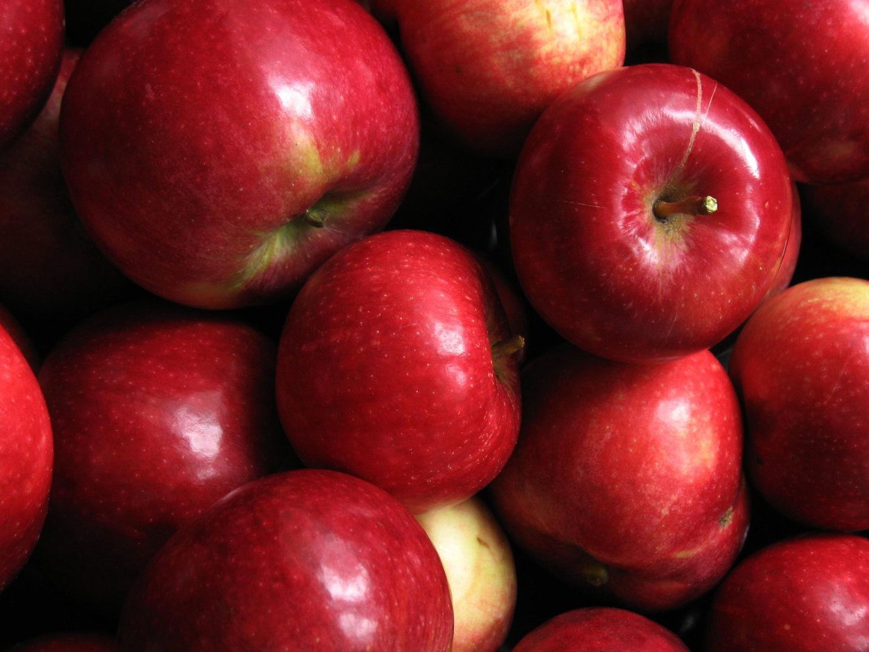 Казахстанские яблоки
