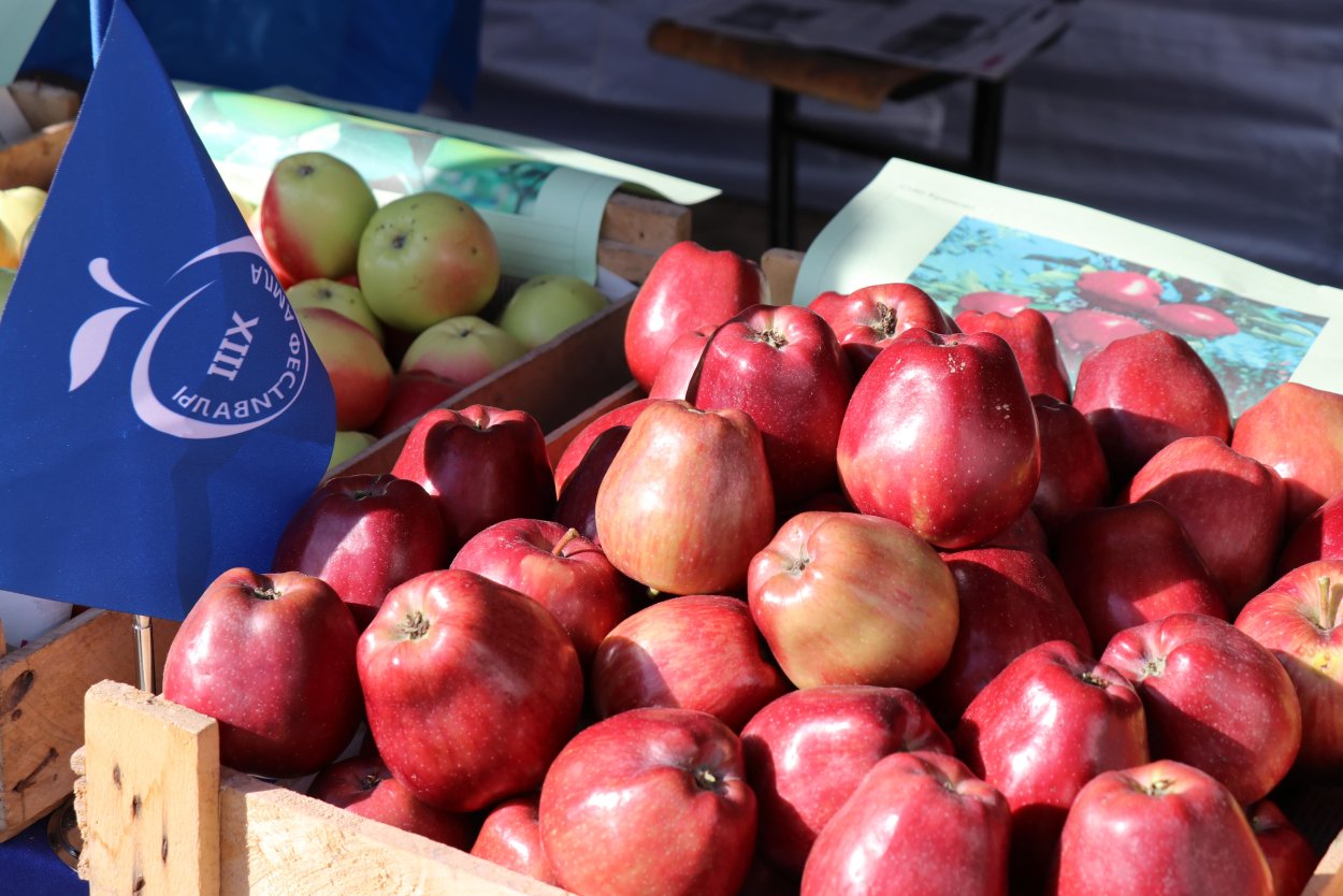 Киргизия-Иссык Кульские яблоки