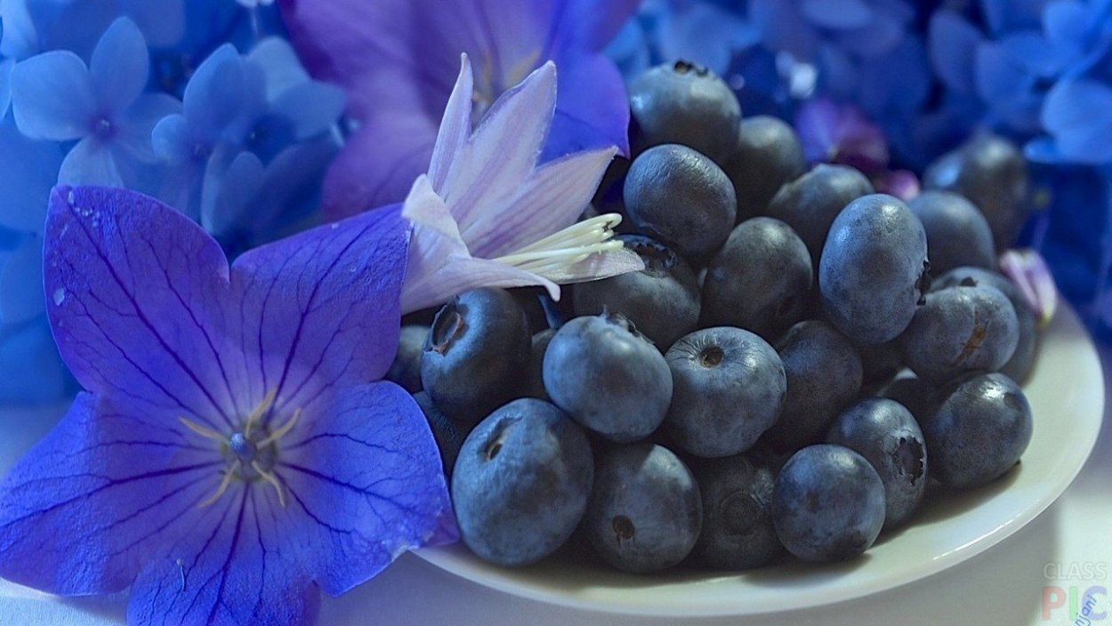 Синие фрукты и ягоды