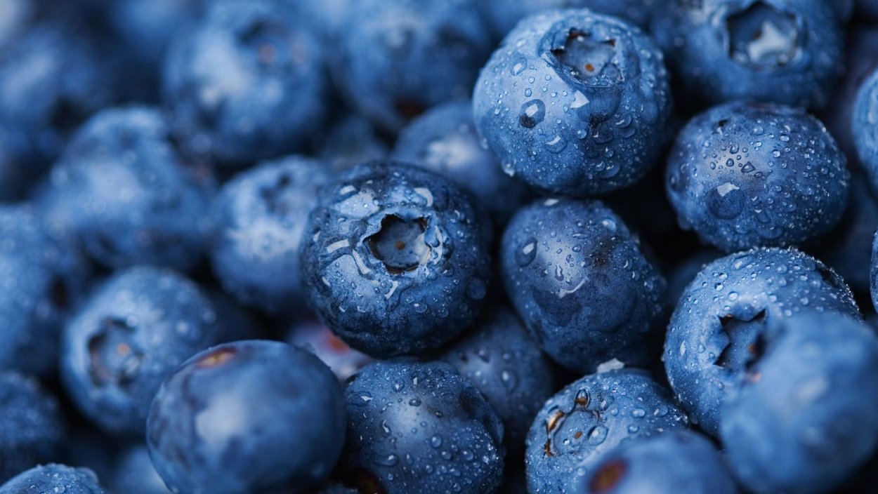Синие ягоды