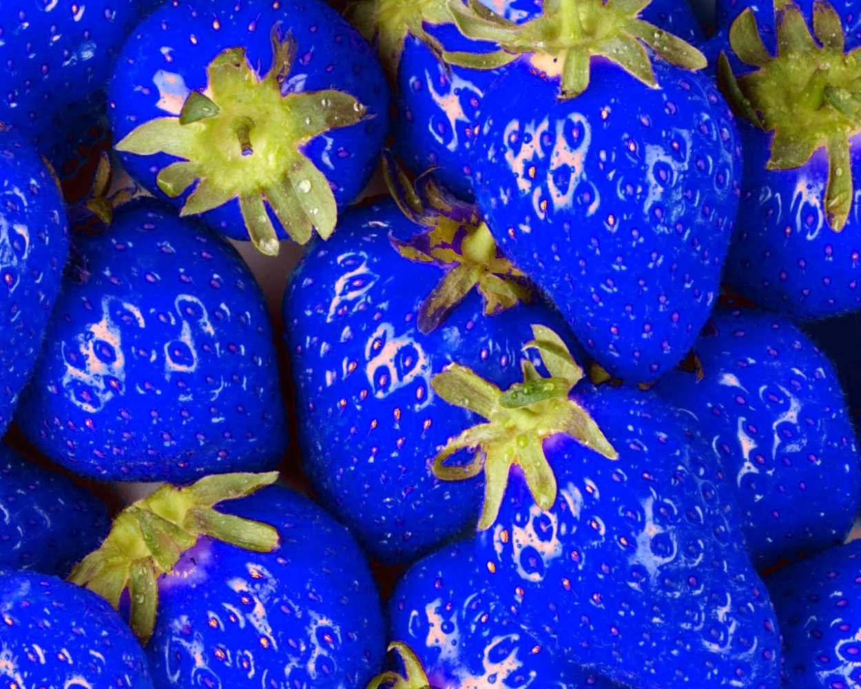 Синие фрукты и овощи