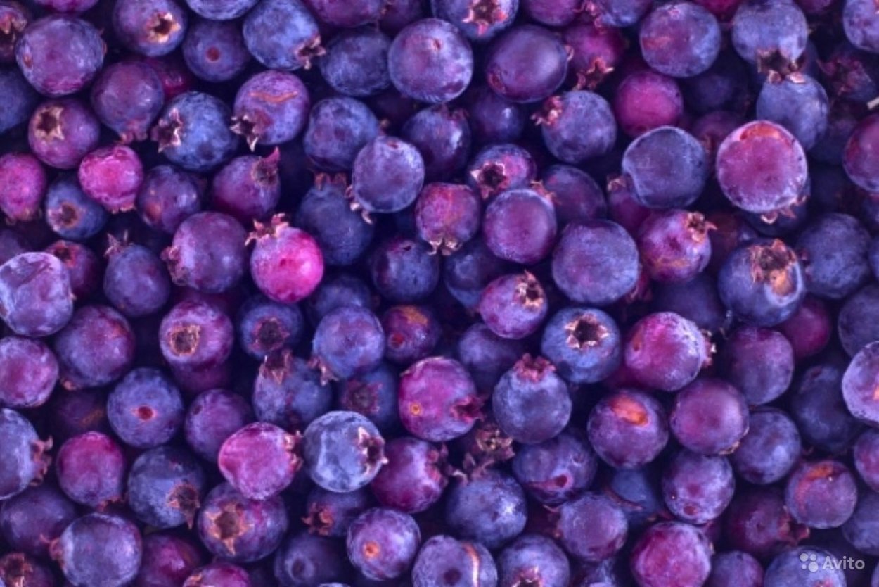 Ирга фрукты