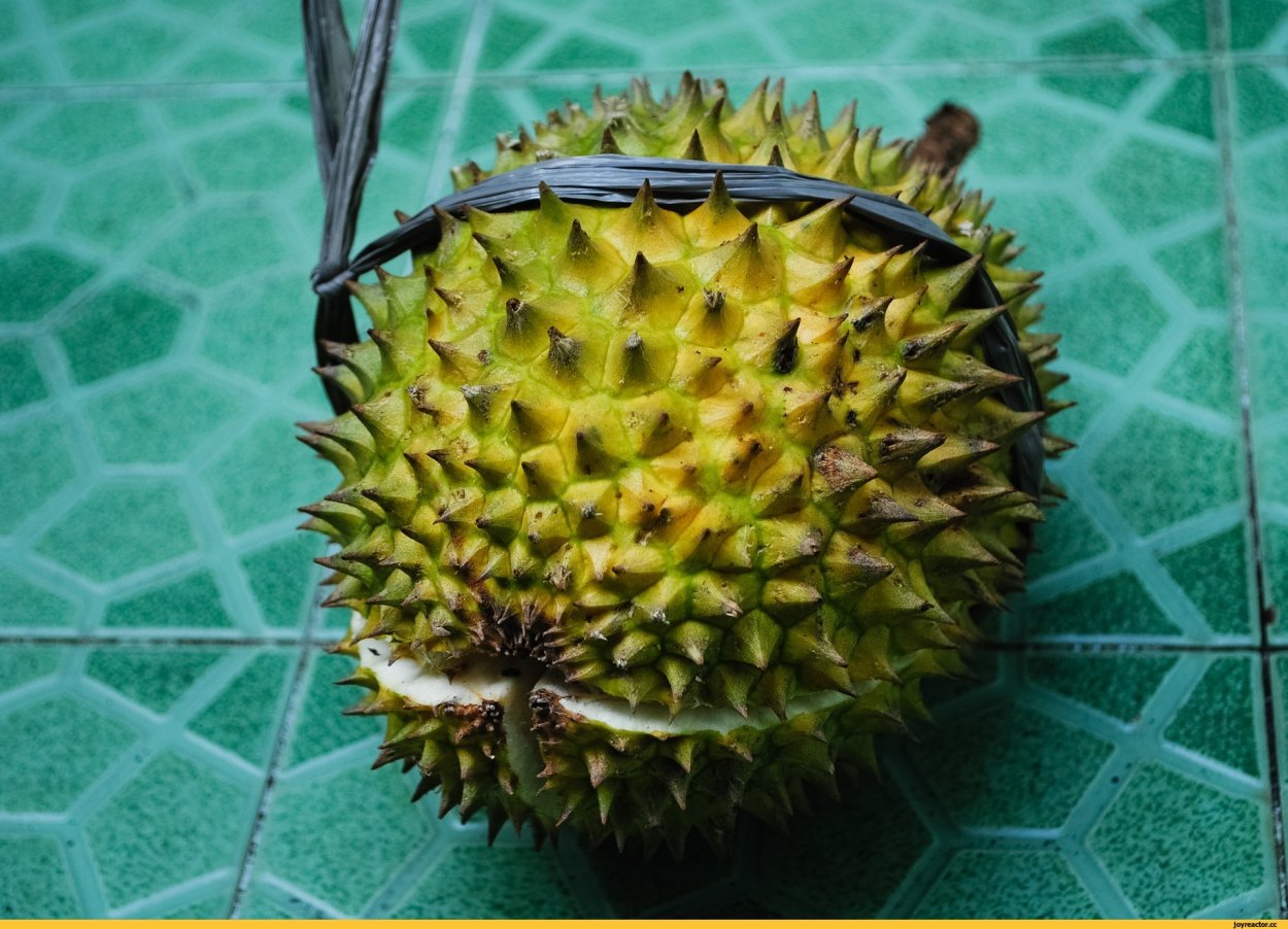 Зеленый колючий фрукт