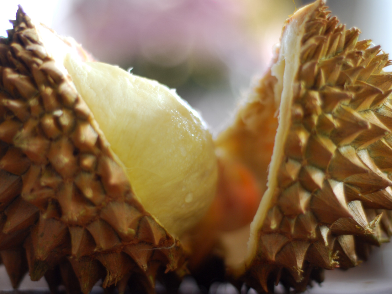 Дуриан Флора Азии