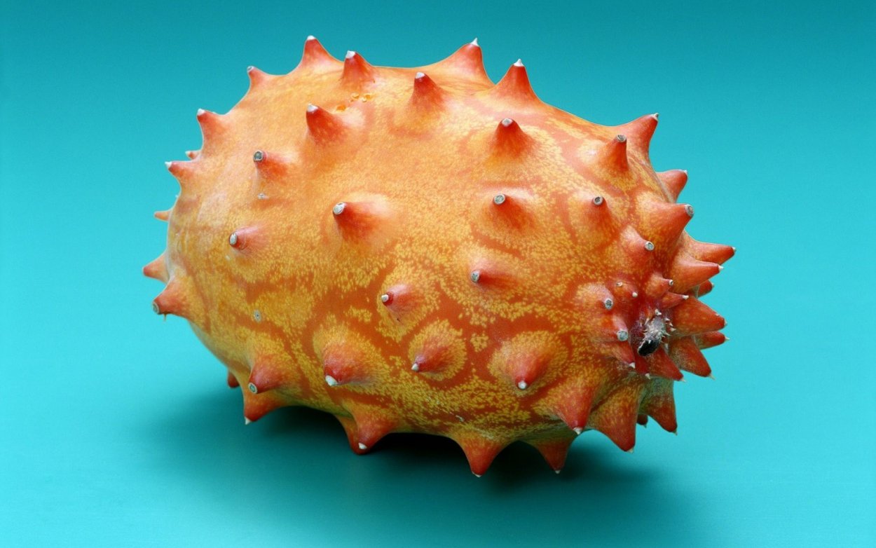 ШИПАСТЫЙ тропический фрукт