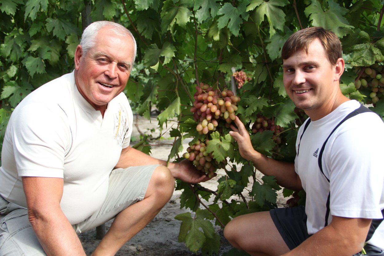 Виноградарь Аникин Юрий