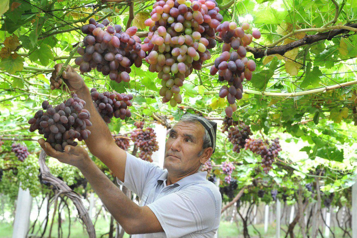 Хусейн Узум