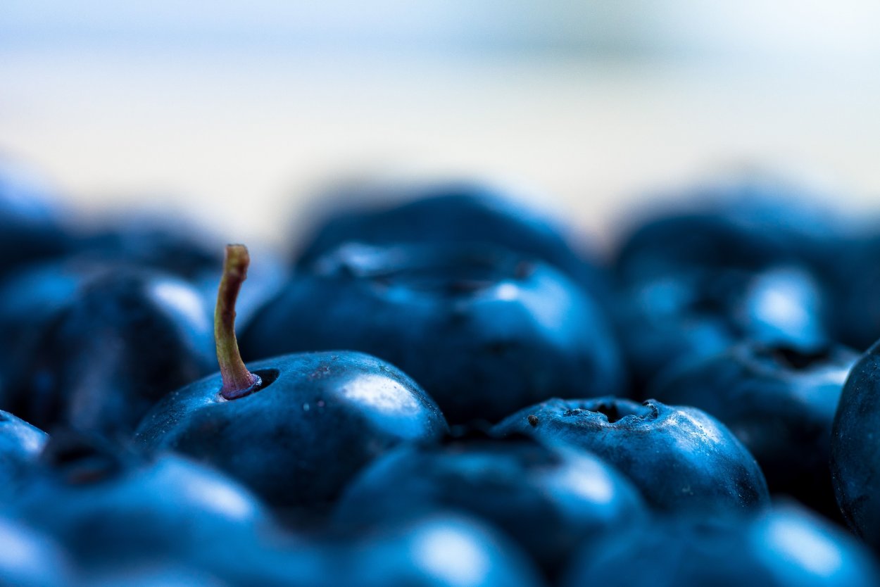 В синих тонах Макросъемка ягоды
