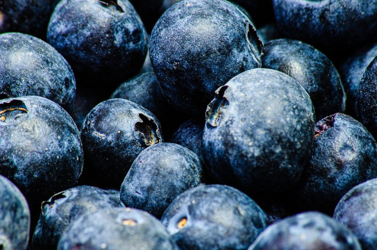 Blueberry фрукт