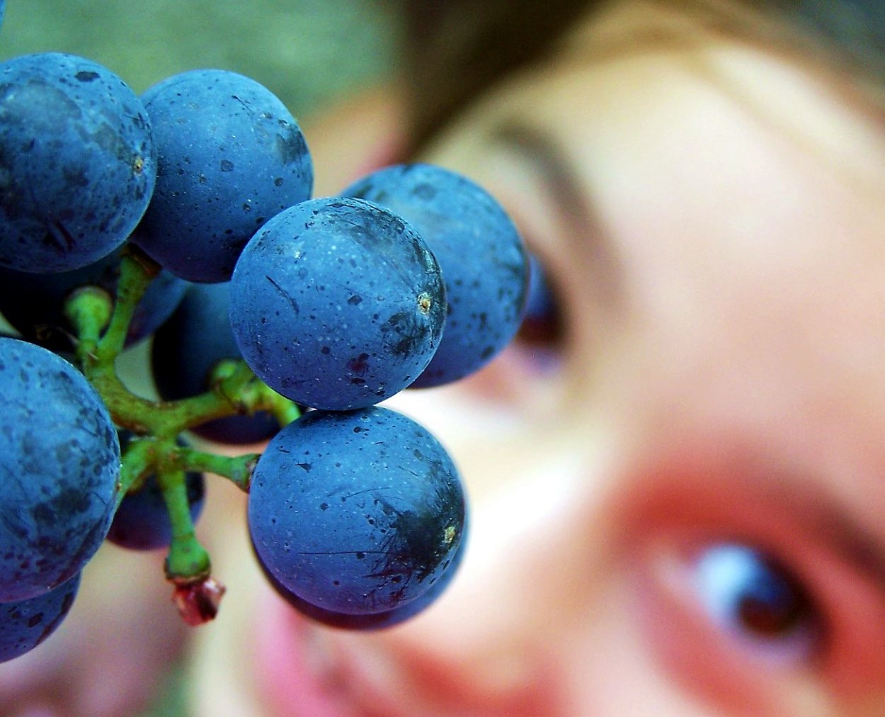 Синий фрукт