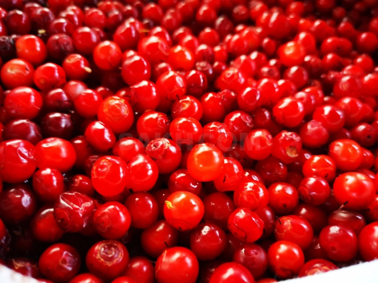 Красника Сахалинская мармелад