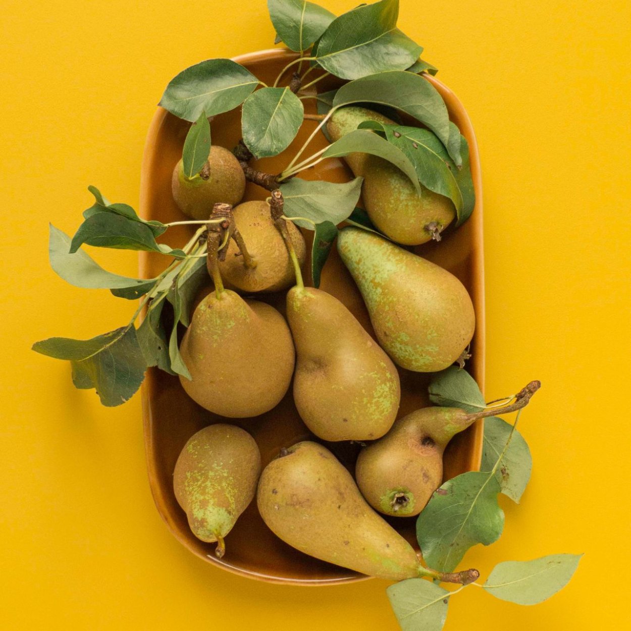 Груша Эстетика