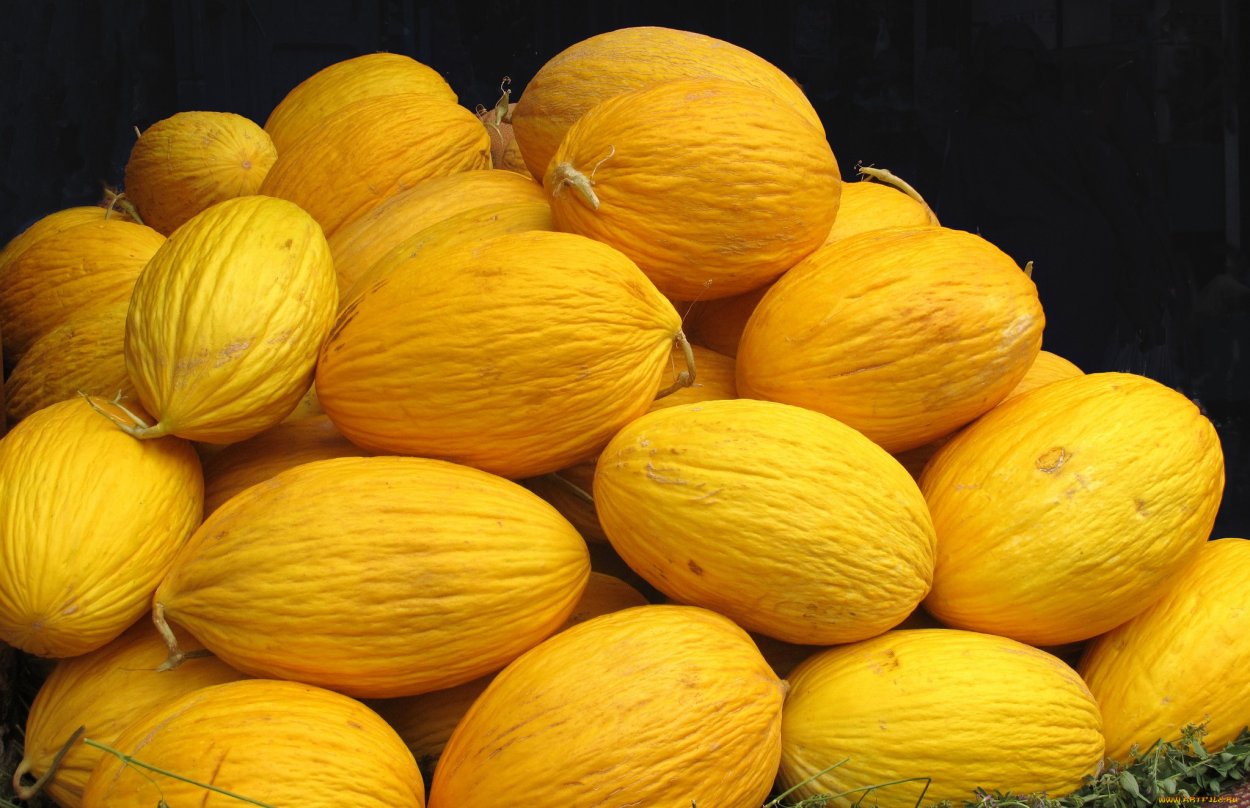 Много дынь