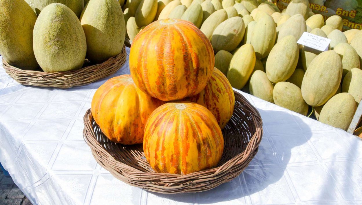 Дыня Чарджоу