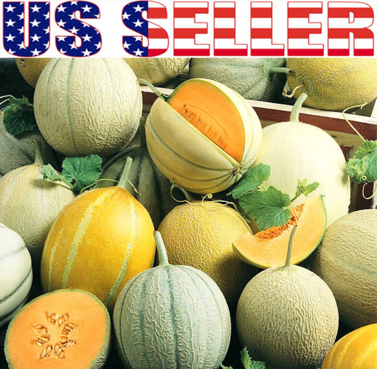 Дыня Уральский Скороспел