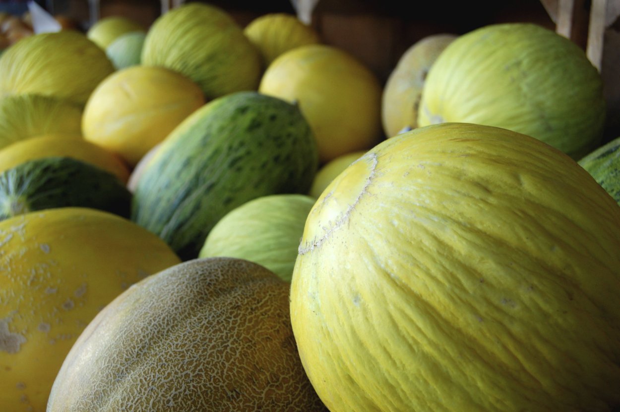 Дыня Кассаба зеленая