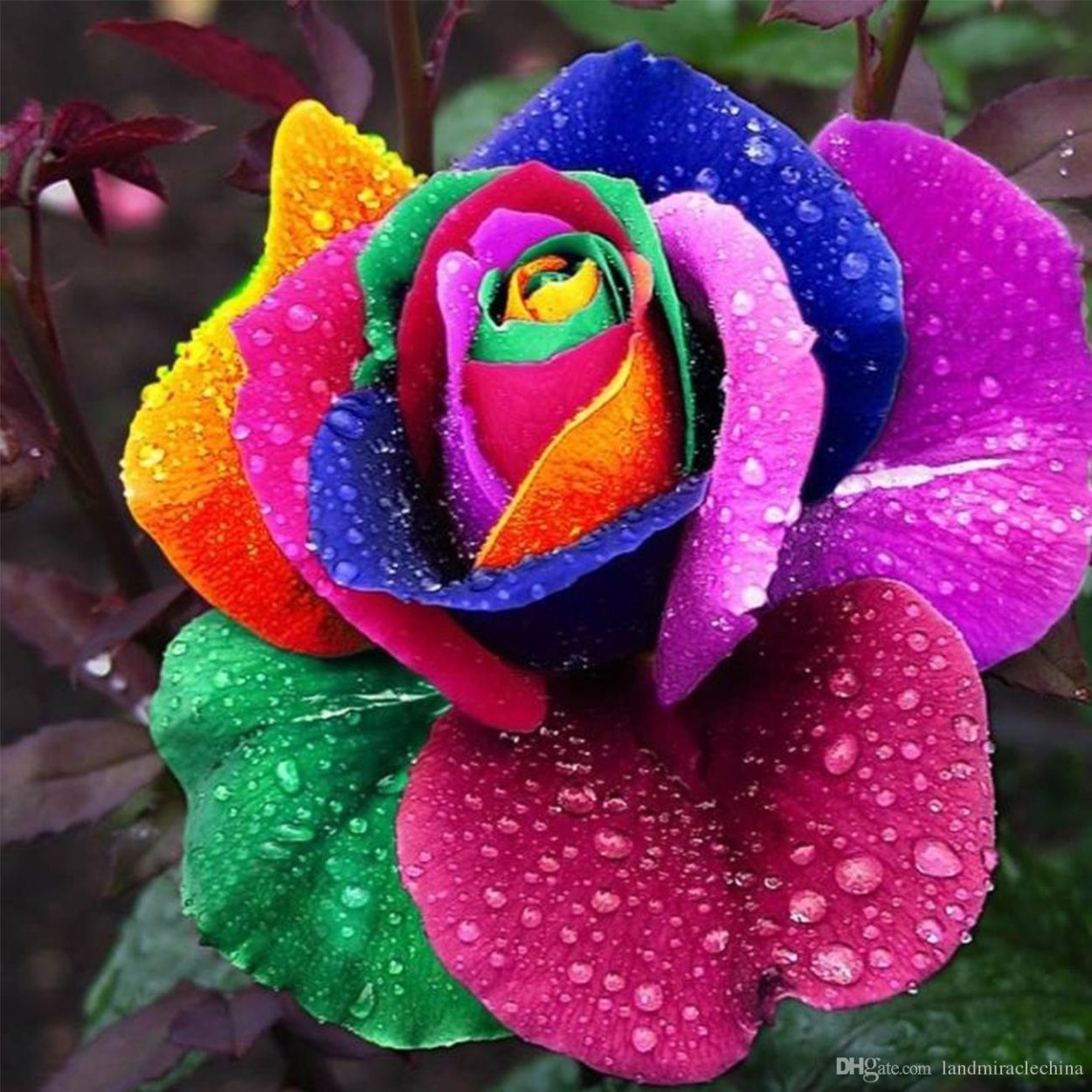 Алмазная мозаика 3д на подрамнике