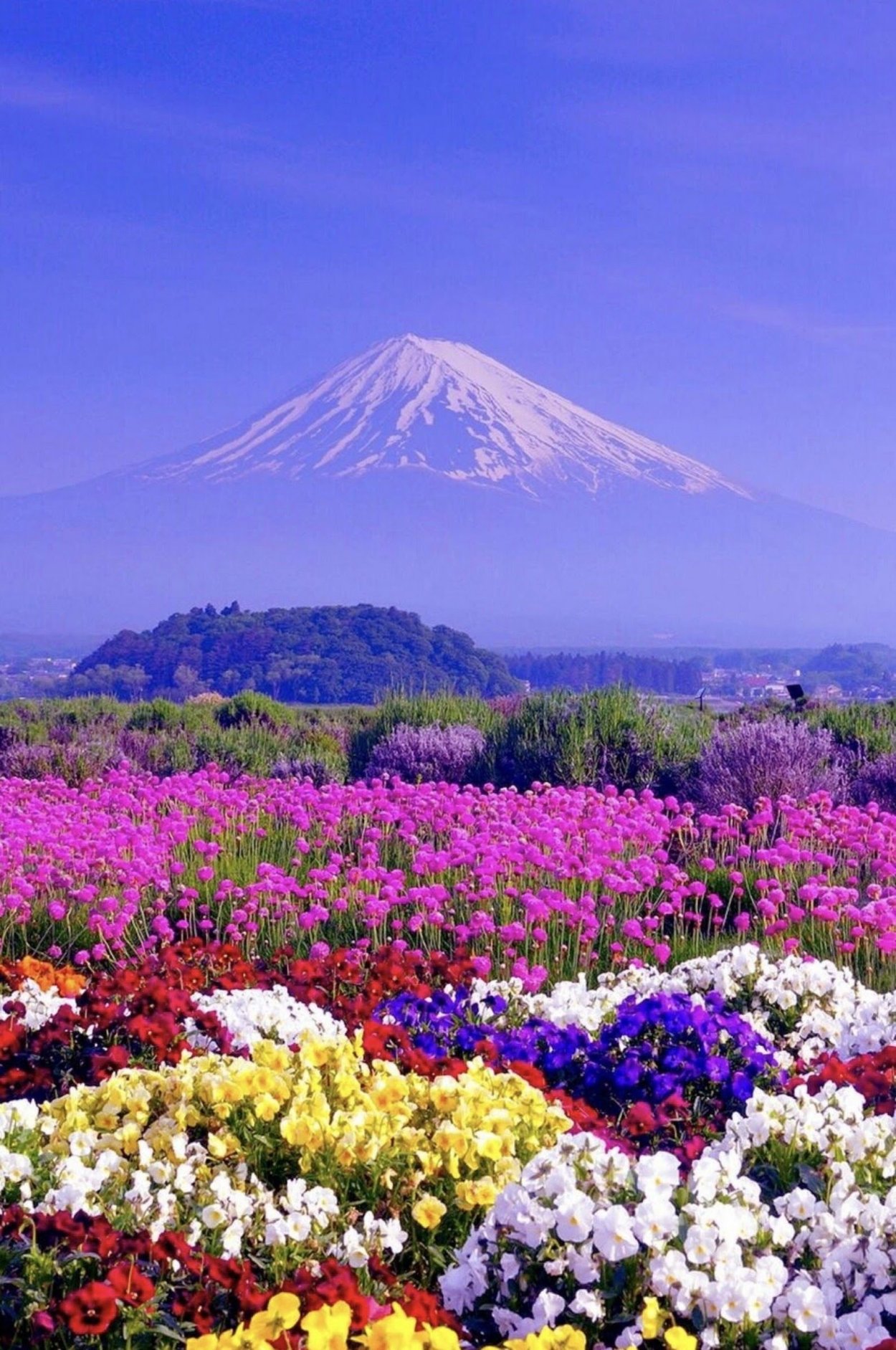 Гора Фудзияма