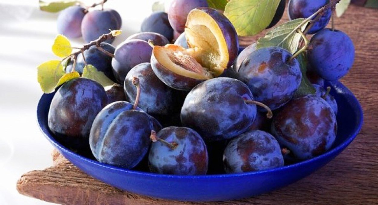 Слива синяя