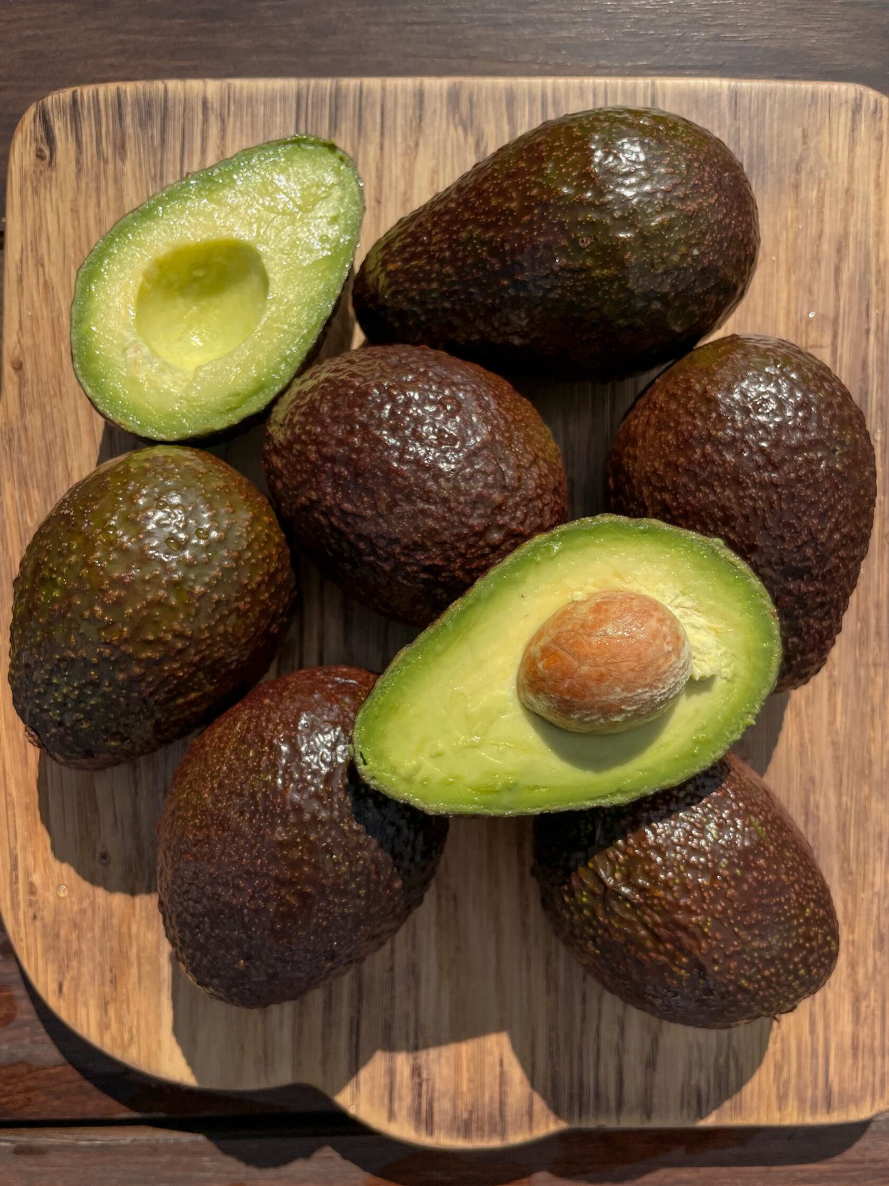 Хасс (сорт авокадо)