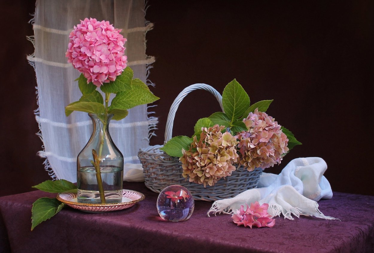 Гортензии в вазе