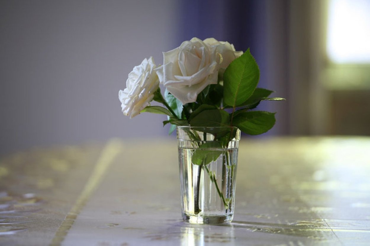 Цветы в стакане