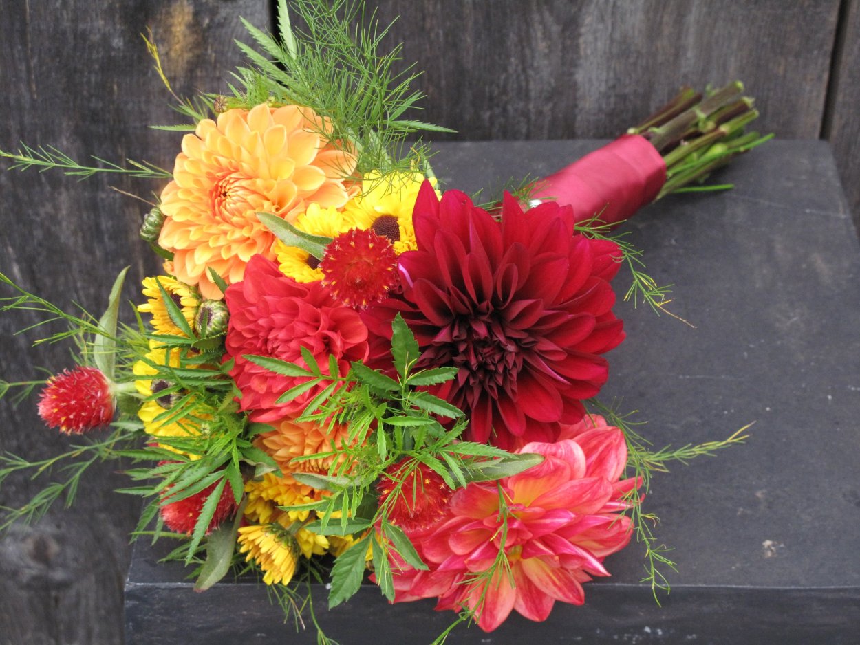 Цинии георгины астры