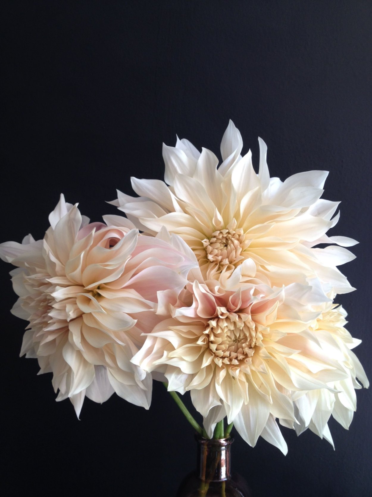 Георгины Дахлия букет