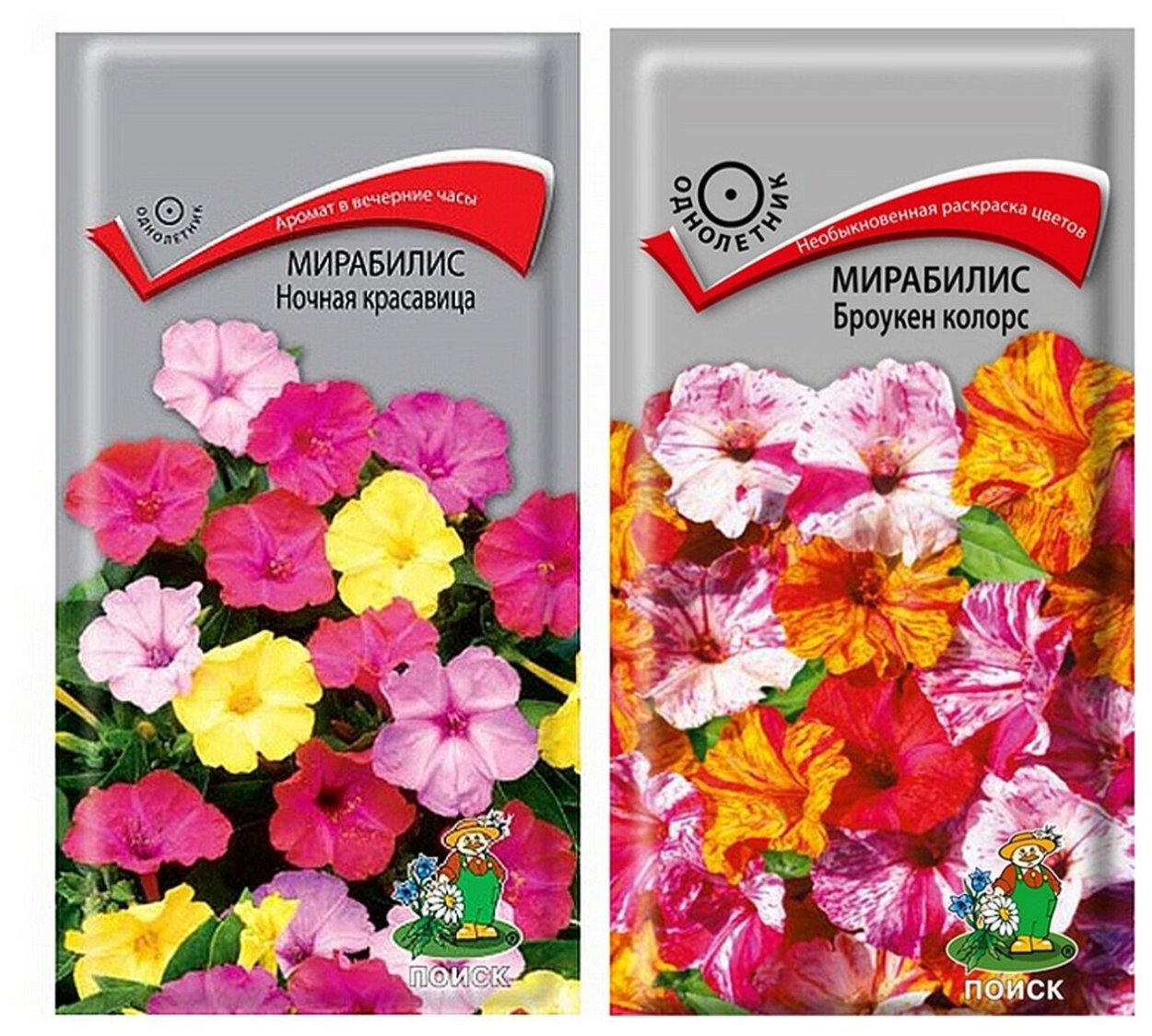 Мирабилис ялапа семена