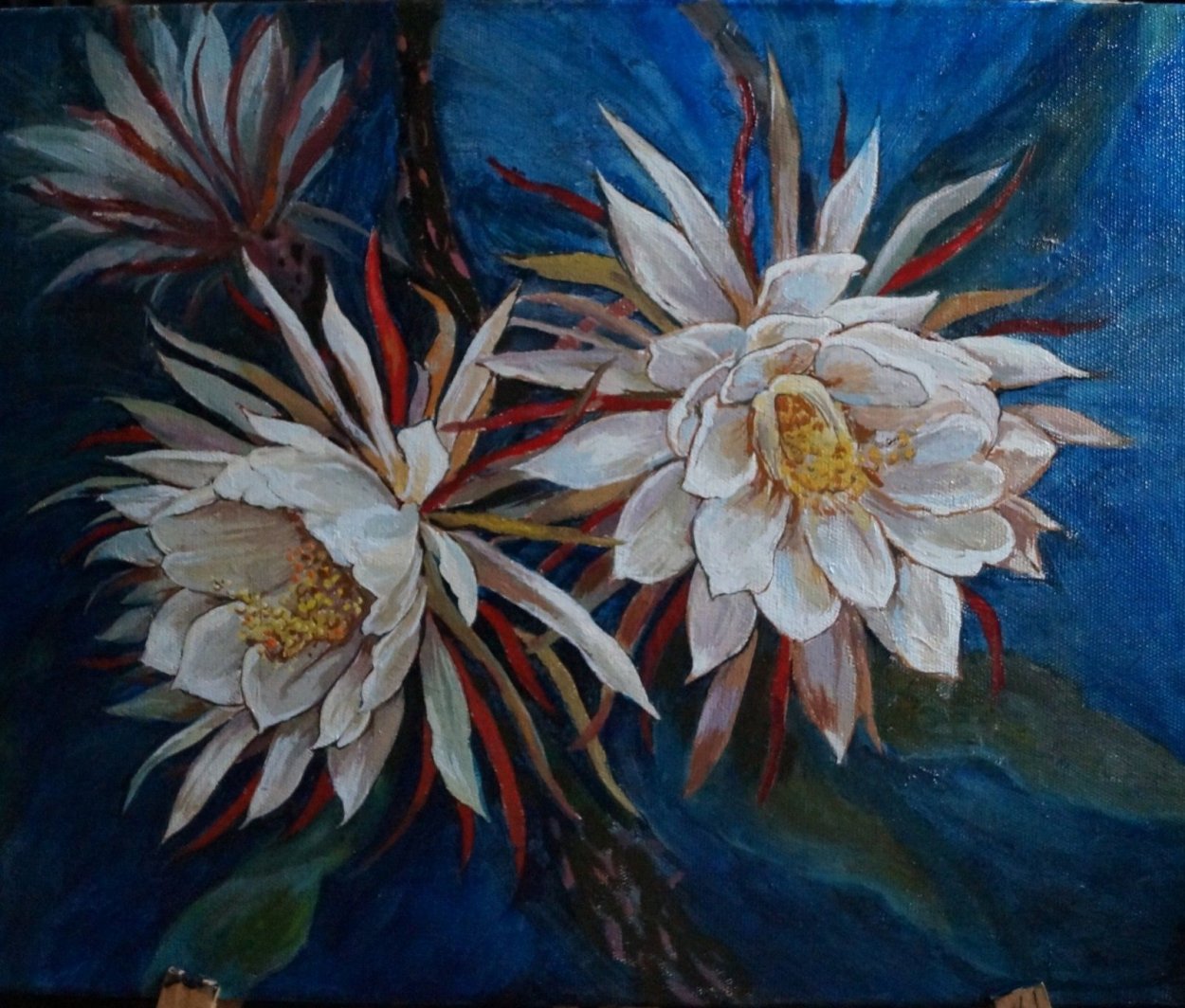 Царица ночи цветок рисунок