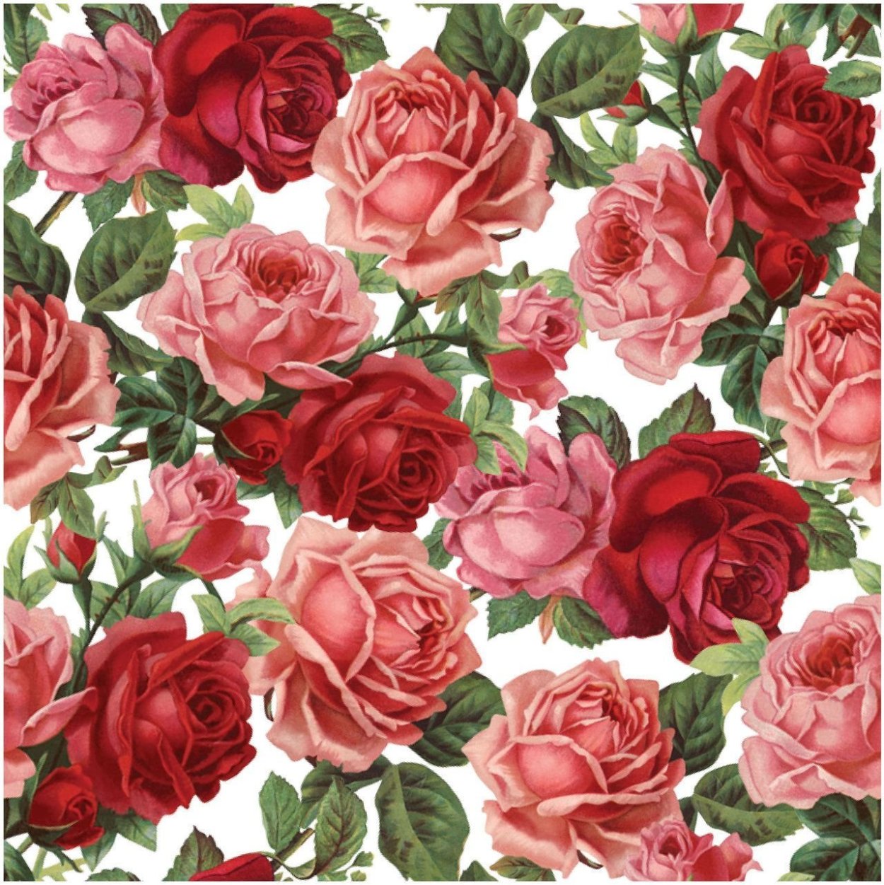 Розы Скрапбукинг