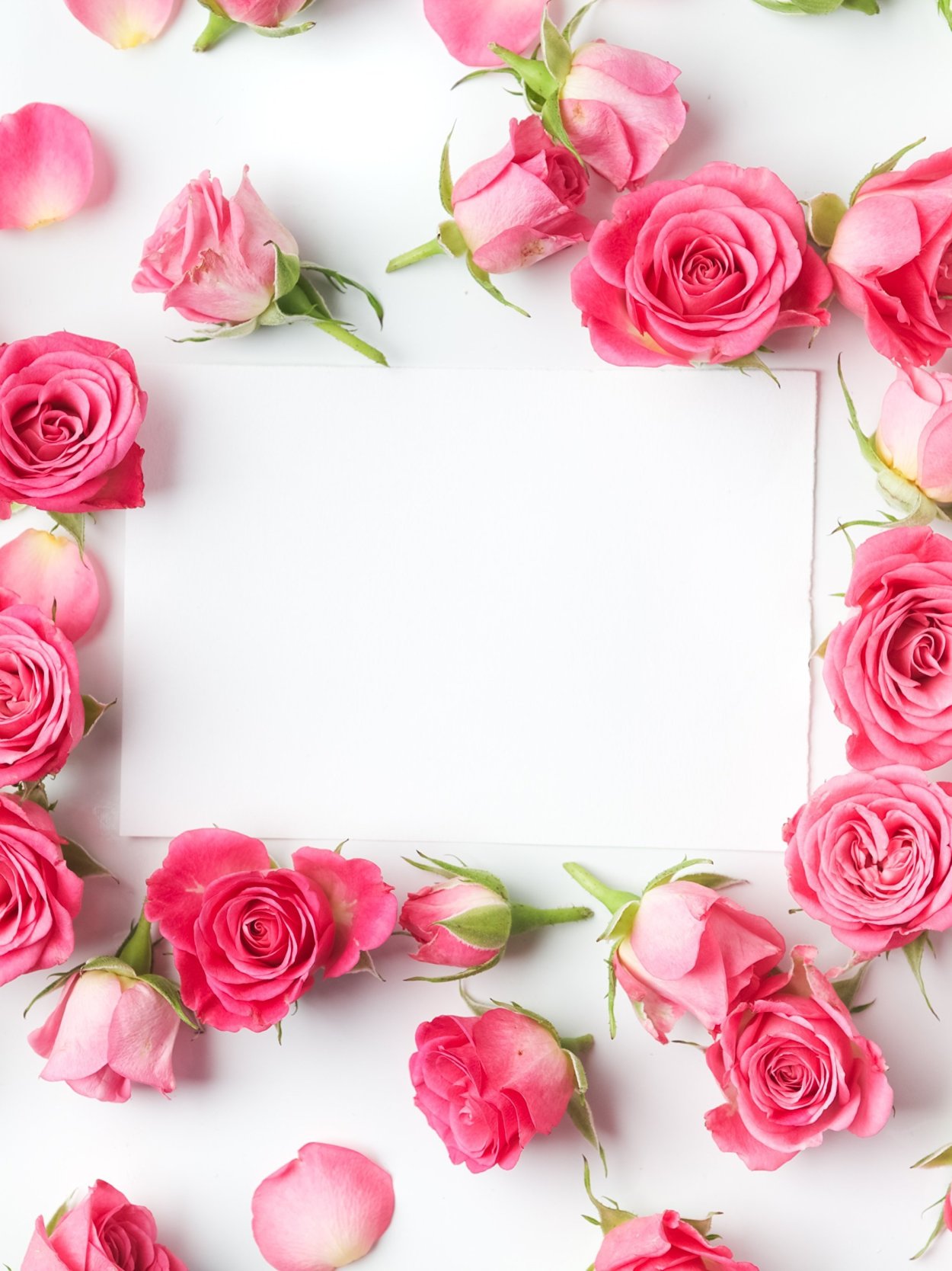 Фон с цветами