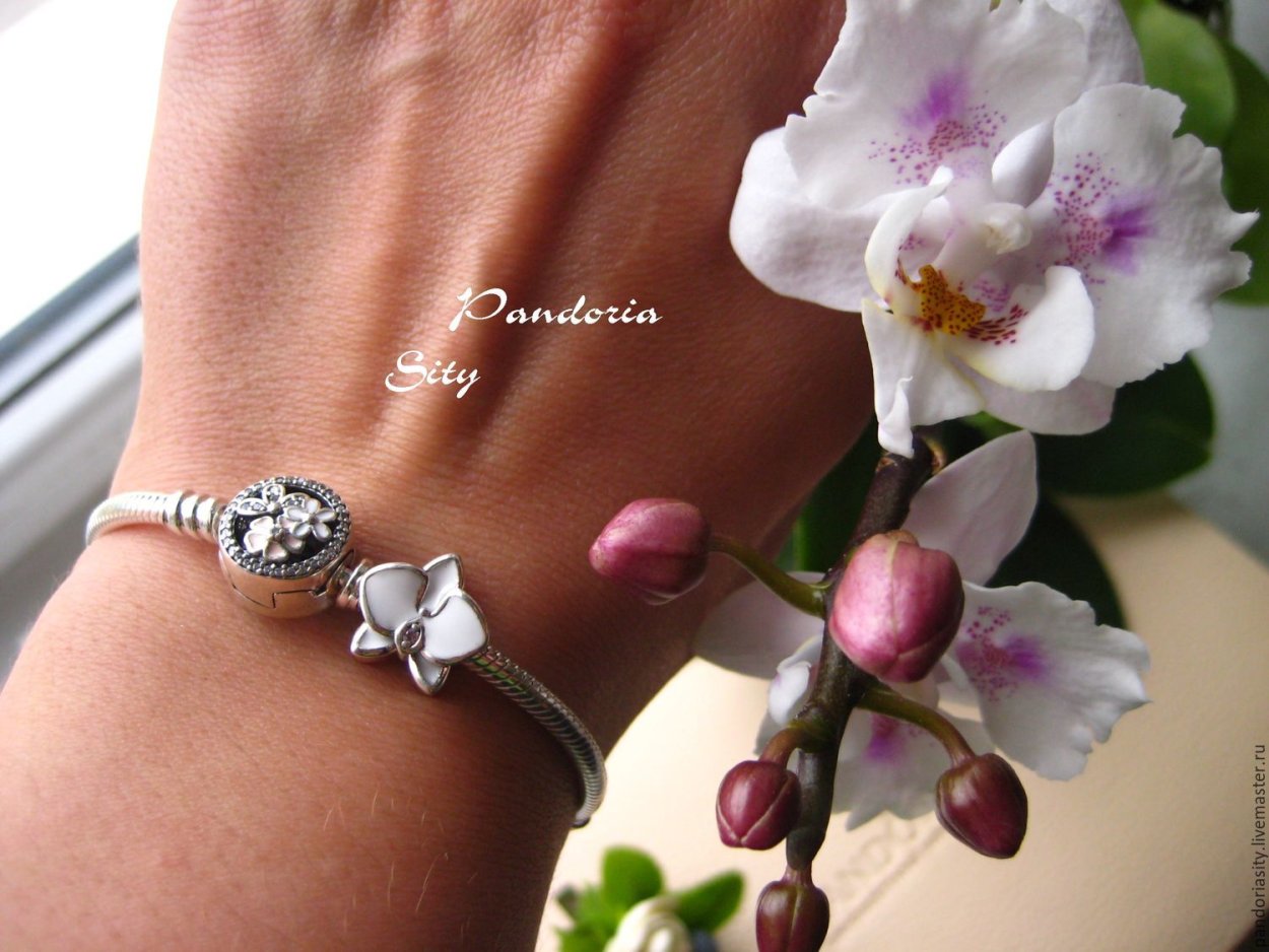 Шарм Пандоры Орхидея