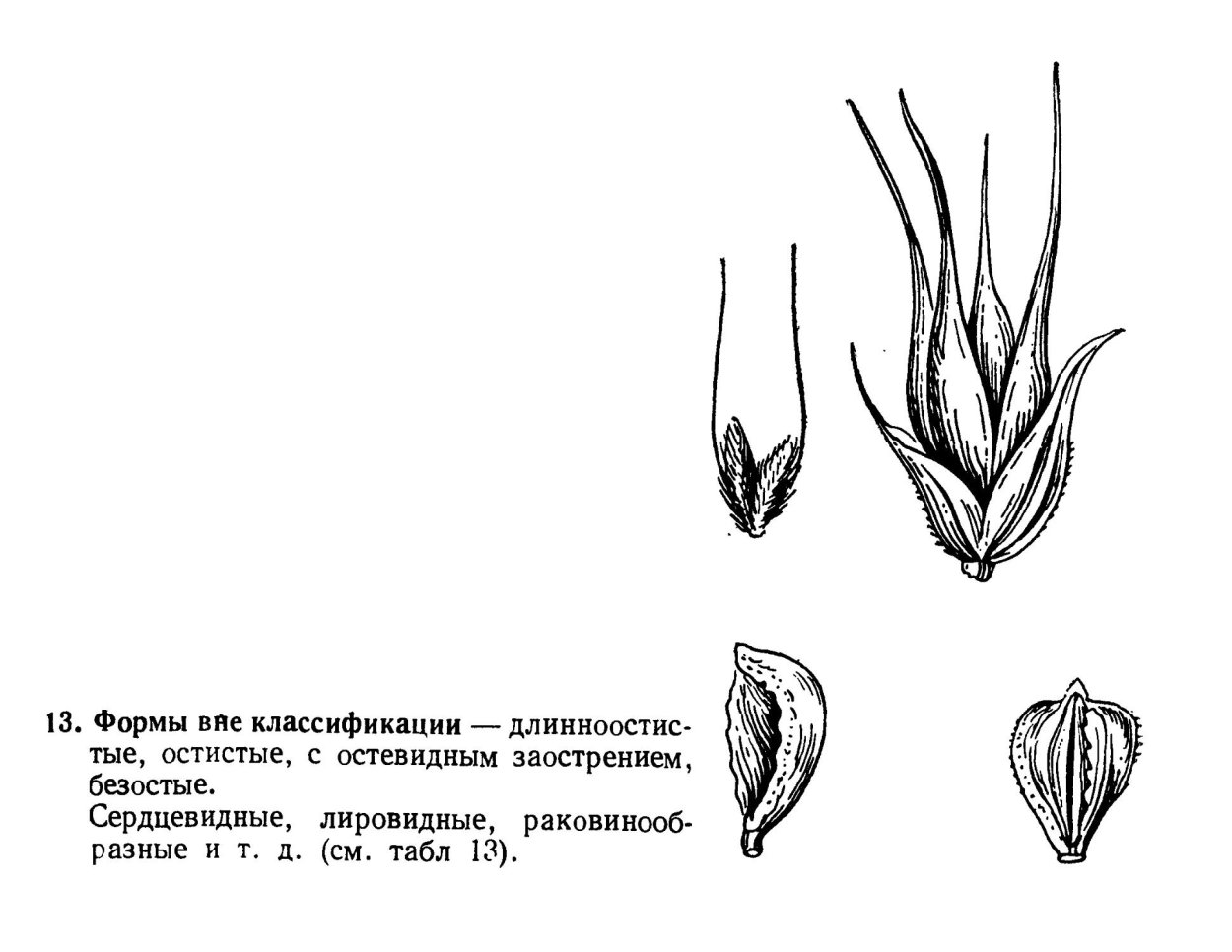 Семена сорных растений атлас-определитель