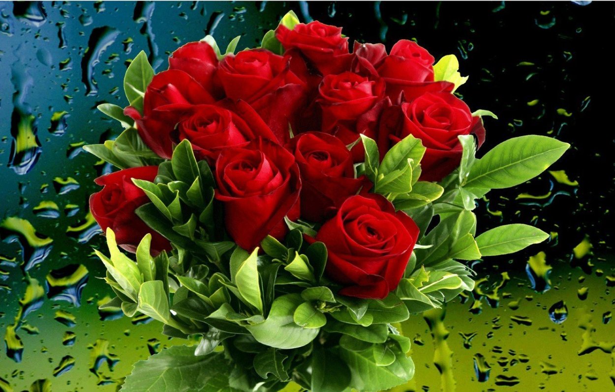 Букет роз на весь экран