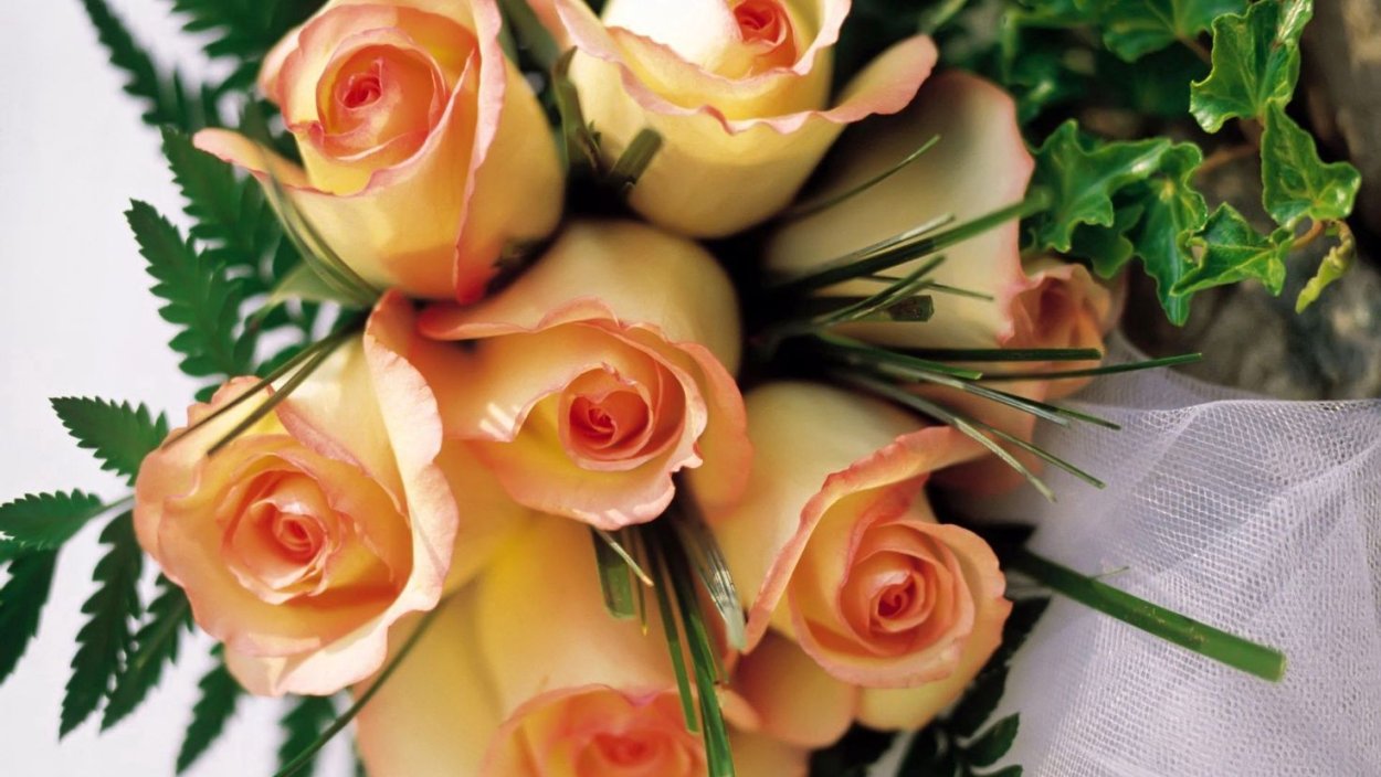 Букет чайных роз