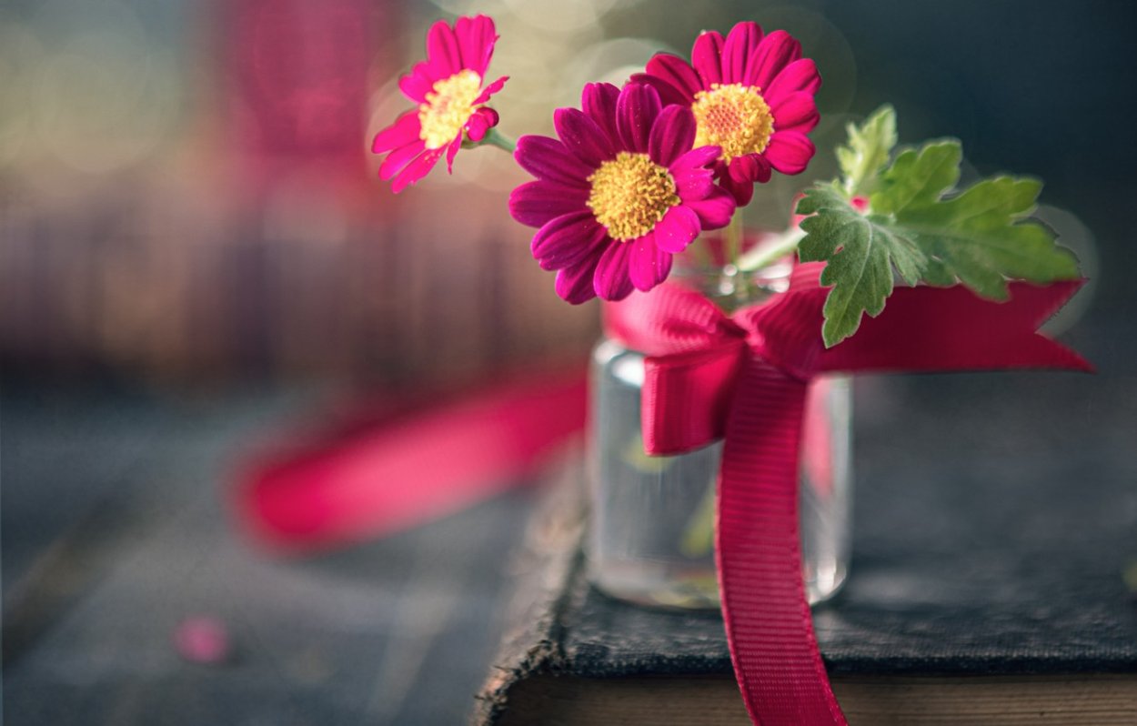 Красивые картинки с цветами для фона на телефон