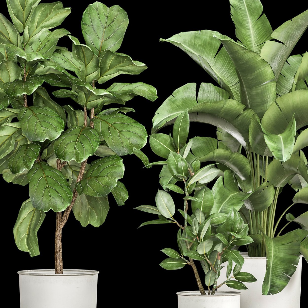 Комнатные цветы для 3д Макс