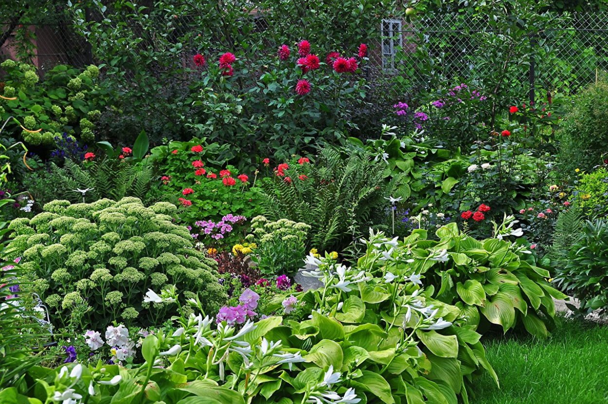 Миксбордер Гертруды Джекилл