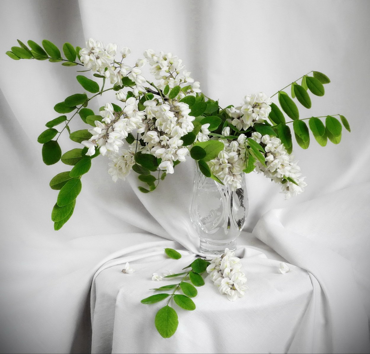 Гроздья акации