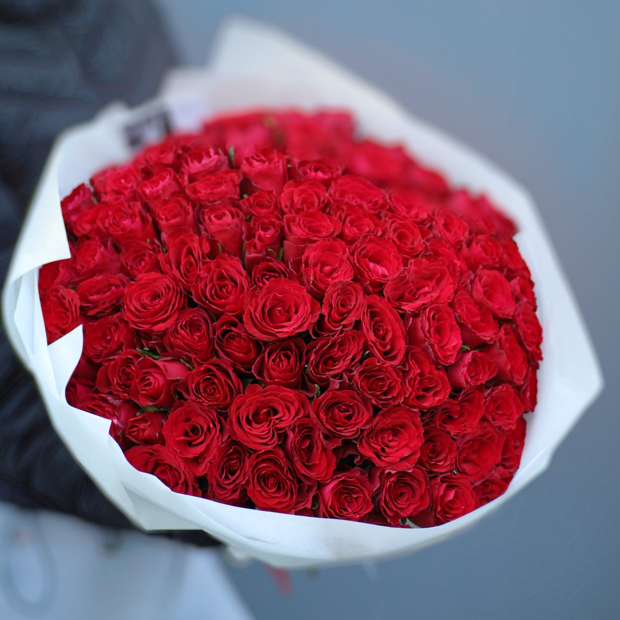 Цветы розы 20 штук