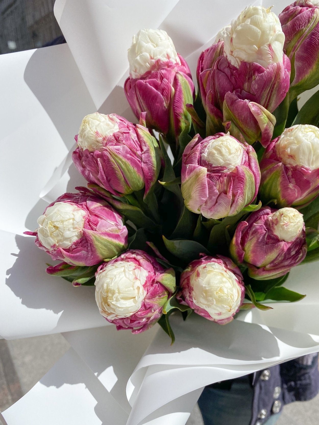 Пионовидный тюльпан Айкон